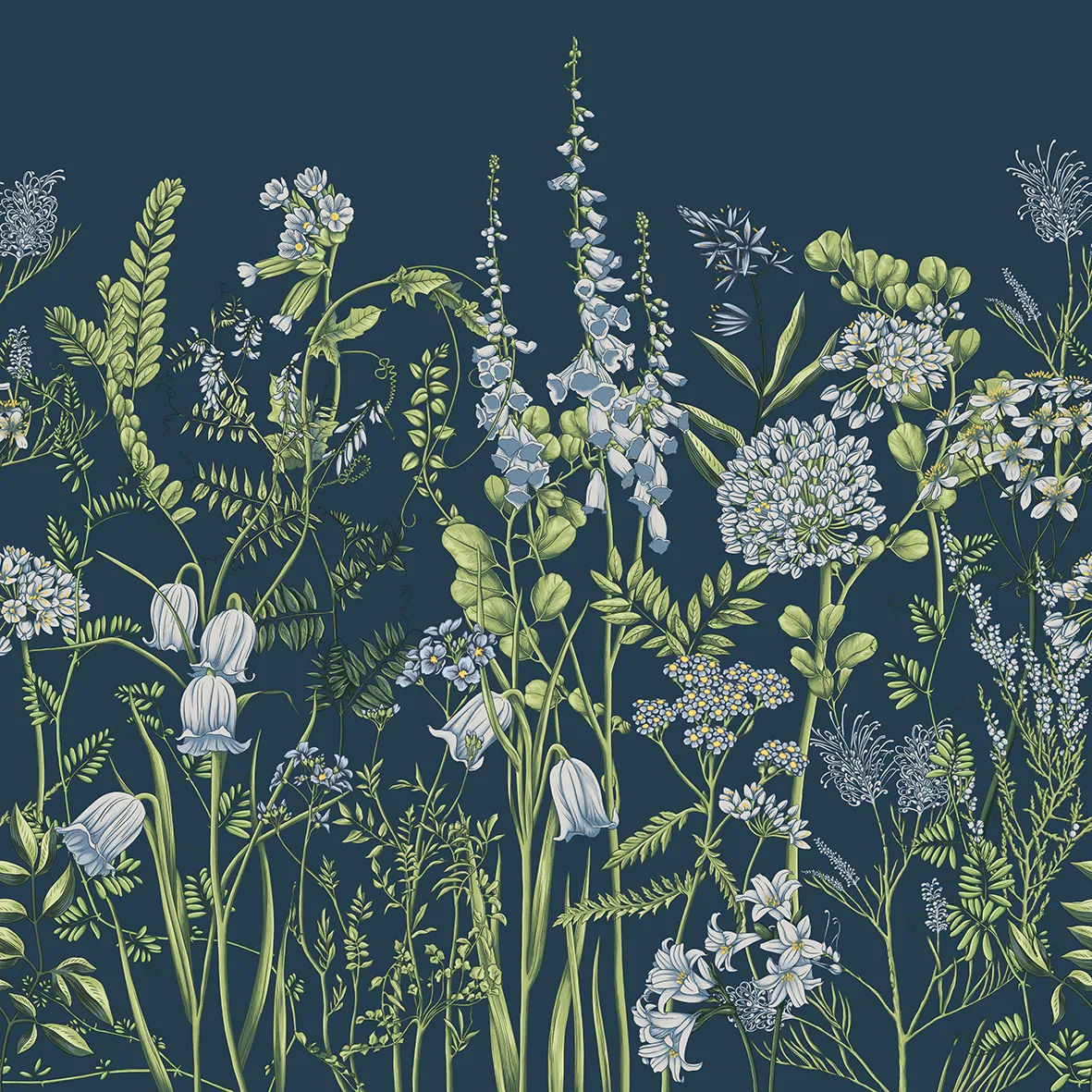Wild Meadow – Wallpaper with Botanical Illustrations of Wildflowers | ART VISION DECOR