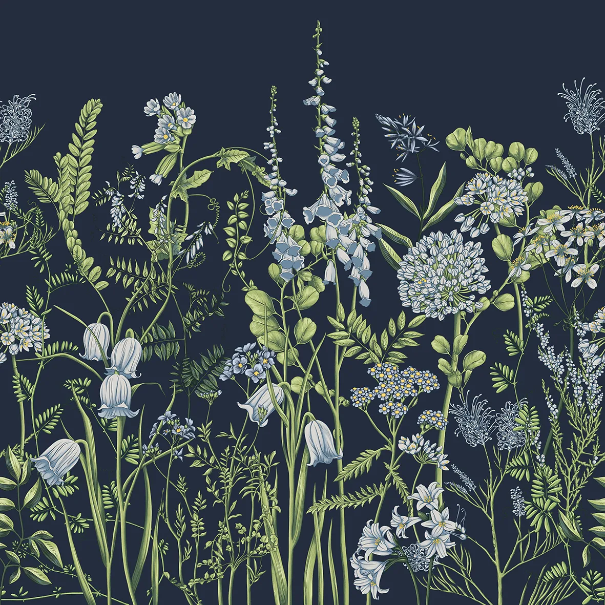 Wild Meadow – Wallpaper with Botanical Illustrations of Wildflowers | ART VISION DECOR