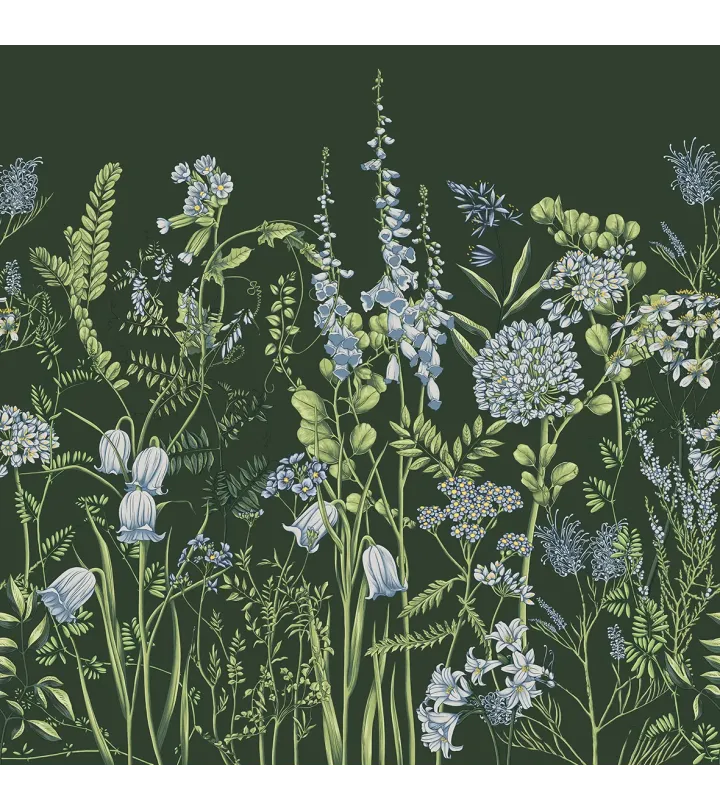 Wild Meadow – Wallpaper with Botanical Illustrations of Wildflowers | ART VISION DECOR