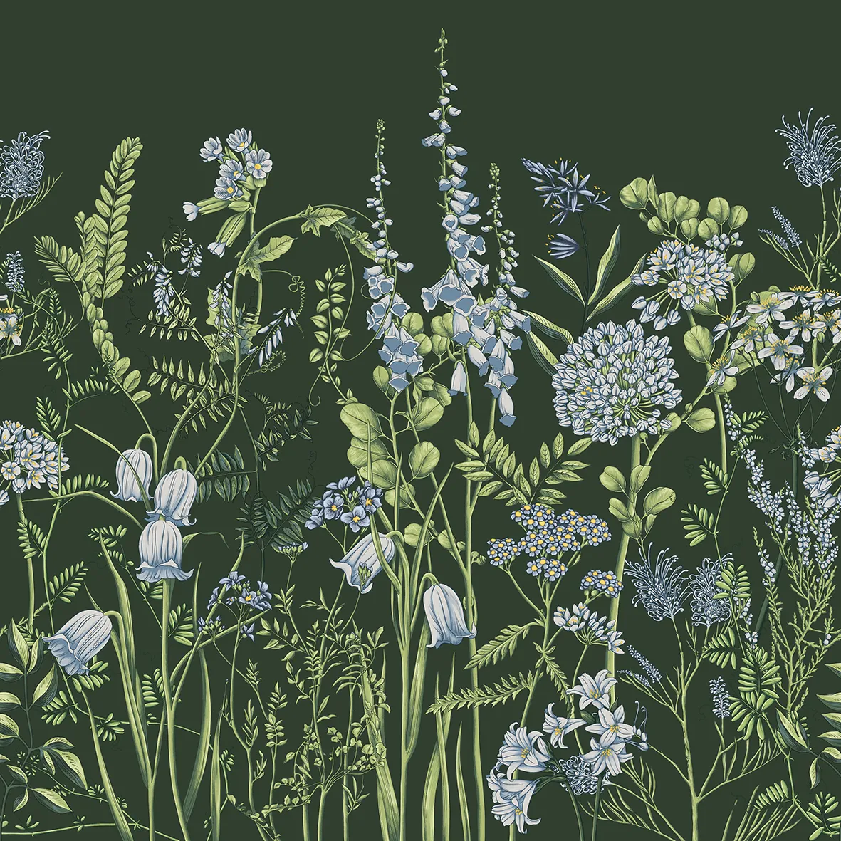 Wild Meadow – Wallpaper with Botanical Illustrations of Wildflowers | ART VISION DECOR