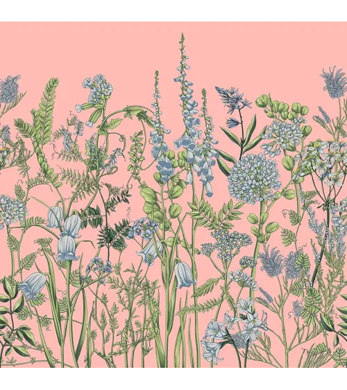 Wild Meadow – Wallpaper with Botanical Illustrations of Wildflowers | ART VISION DECOR