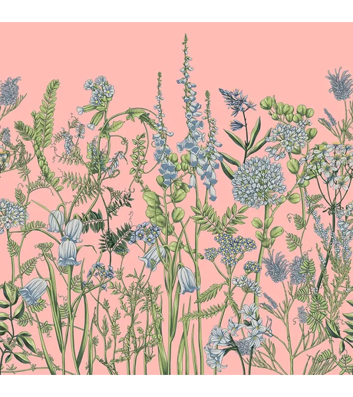 Wild Meadow – Wallpaper with Botanical Illustrations of Wildflowers | ART VISION DECOR