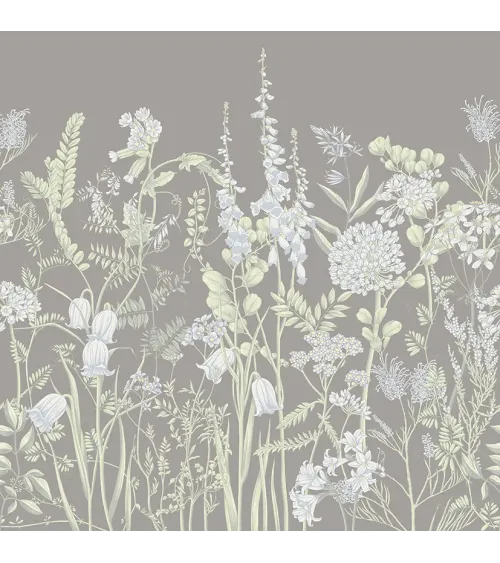 Wild Meadow 2 – Wallpaper with Botanical Illustrations of Wildflowers | ART VISION DECOR