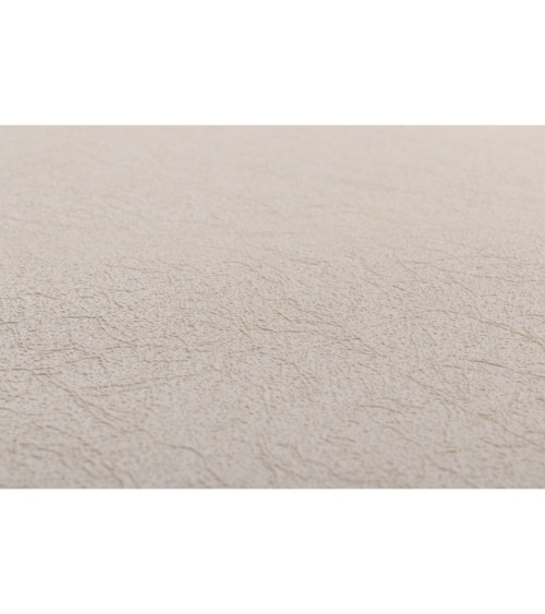 Vinyl Foam wallpaper on non-woven base Vinil Painted Wallpaper PRO 3 - Light3 Beige 10,05 x 1,06 m