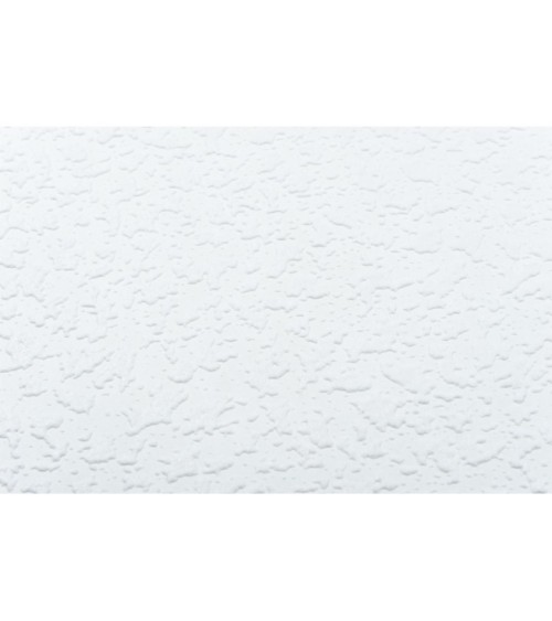 Vinyl Foam wallpaper on non-woven base Vinil Painted Wallpaper РЎ-83 White 25 x 1,06 m