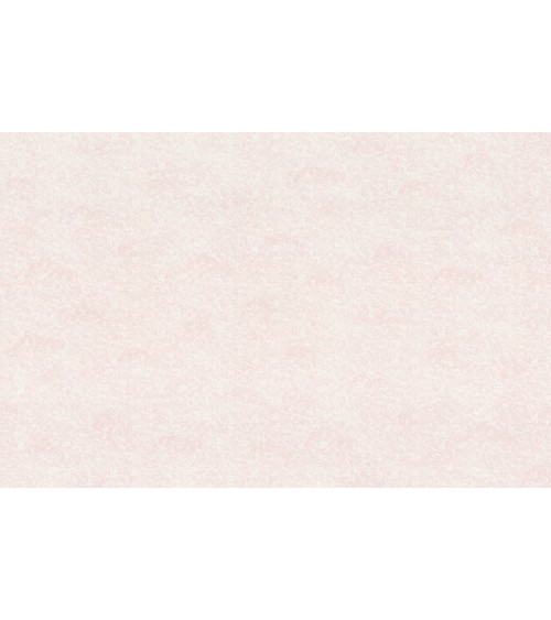 Hot Embossed wallpaper on Non-Woven Base Vinil Sky SHT 3-1552 Pink 10,05 x 1,06 m