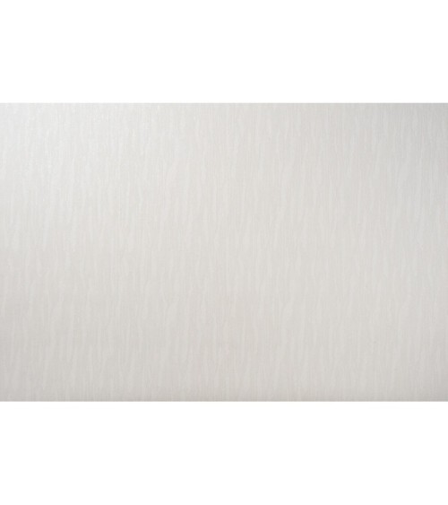 Vinyl Foam wallpaper on non-woven base Vinil Asteria DHN-1497/2 Brown 10,05 x 1,06 m