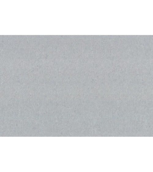 Hot Embossed wallpaper on Non-Woven Base Vinil Alanya VIP 6-1542 Gray 10,05 x 1,06 m