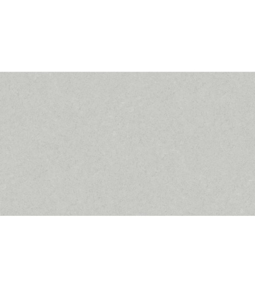 520147 (1,06)