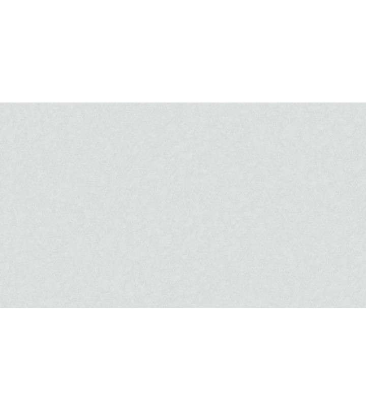 520116 (1,06)