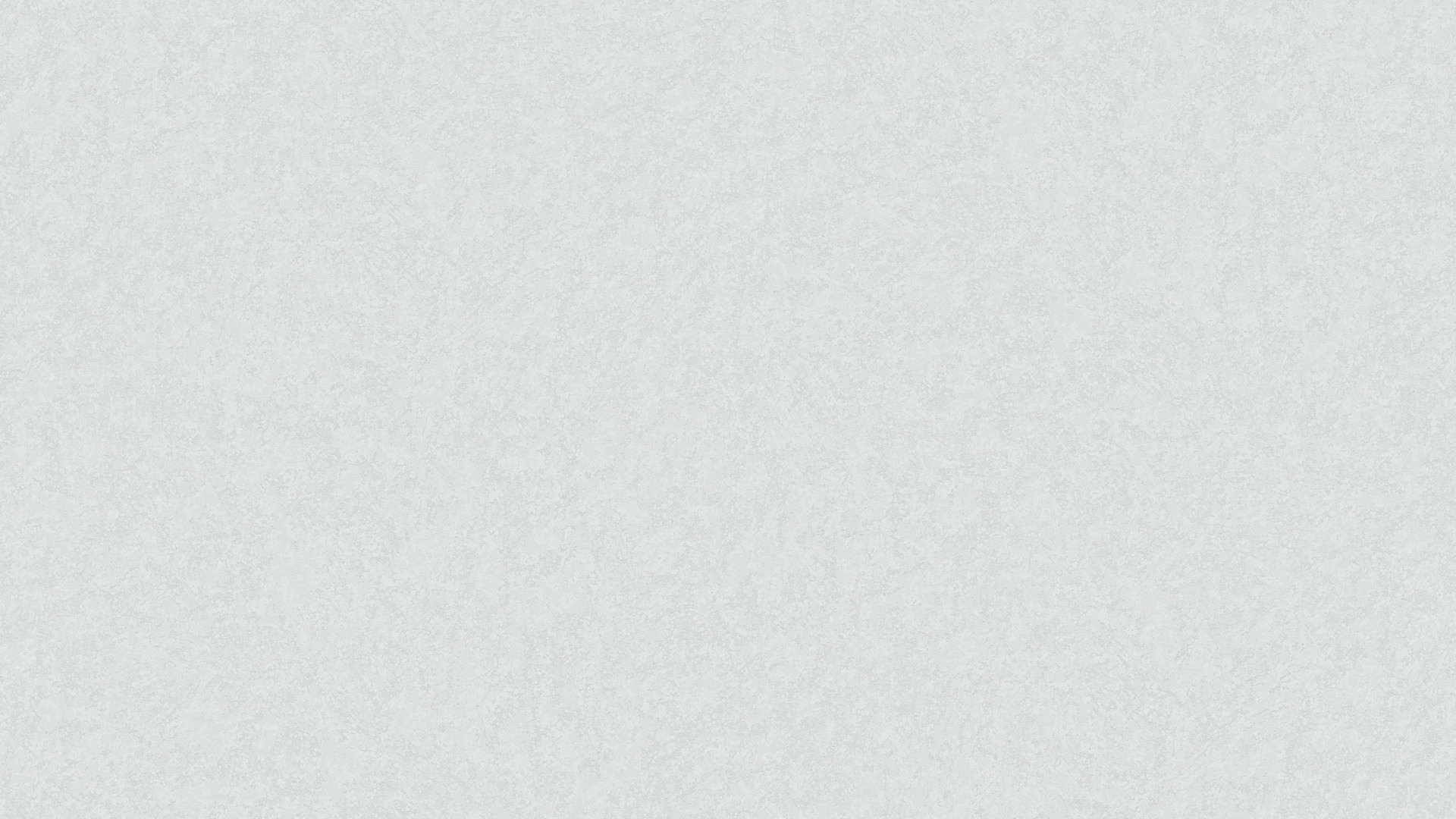 520116 (1,06)