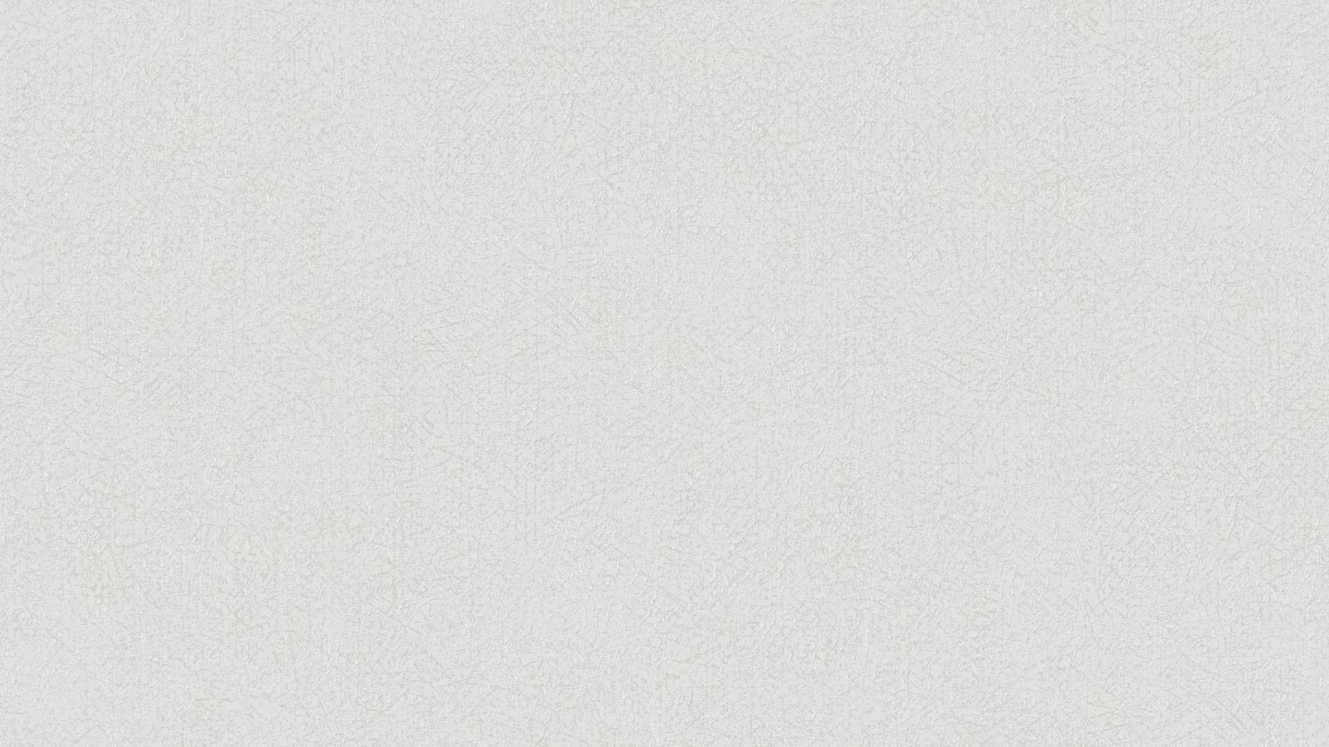 406106 (1,06)