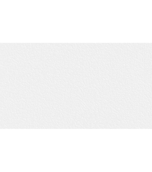 675809 (1,06)