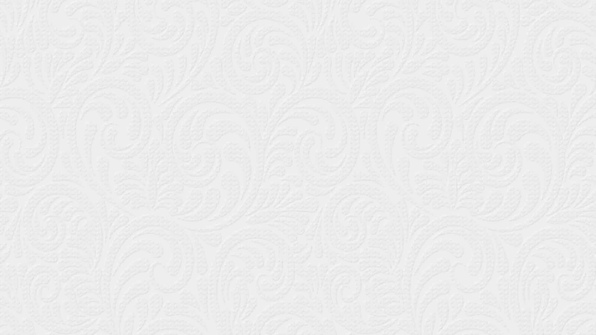 541135 (1,06)