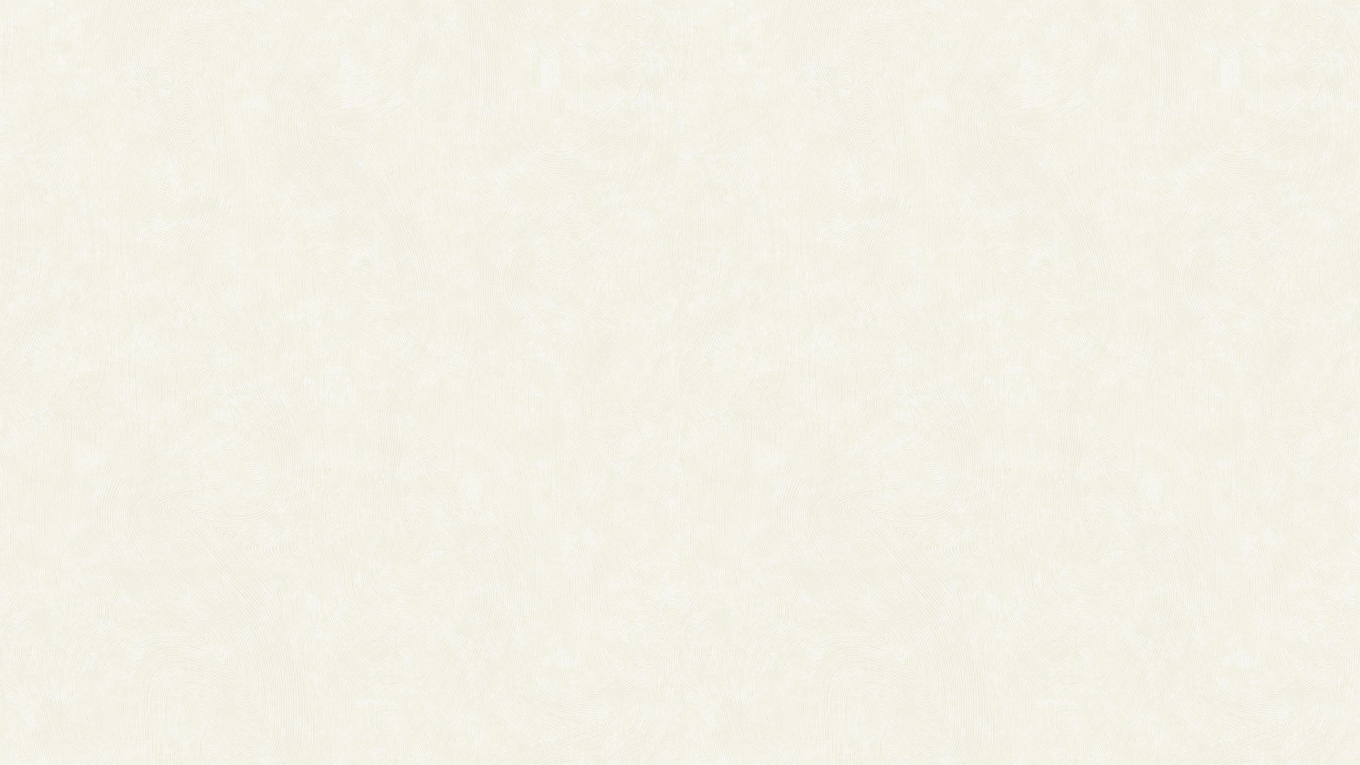502105 (1,06)