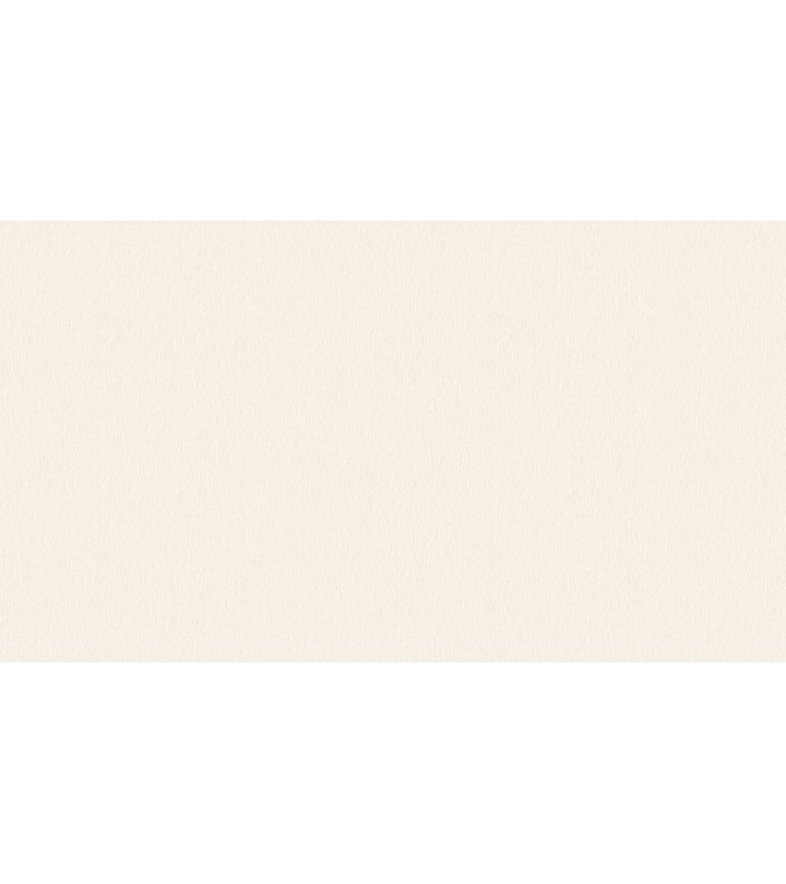 500705 (1,06)