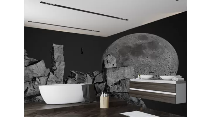 Wall Mural "Going to the moon" buy with delivery in Ukraine in the Luxury Textile store
