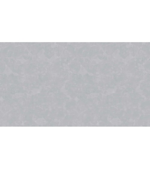507841 (1,06)