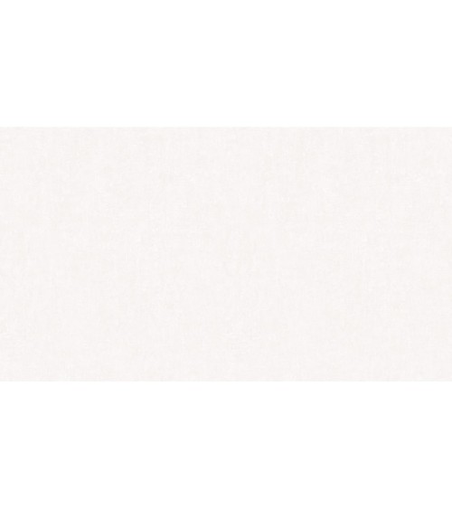 452509 (1,06)