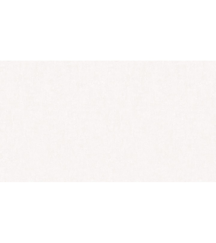 452509 (1,06)