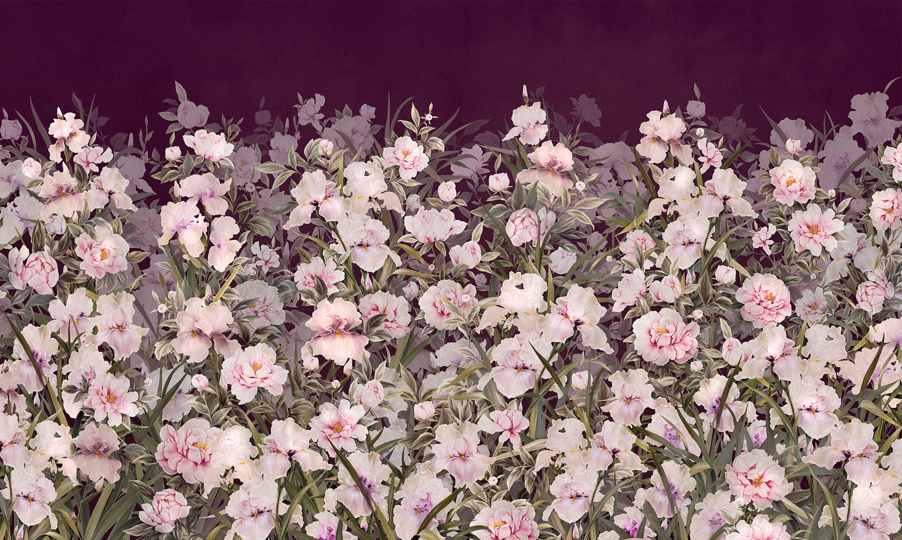 silk-iris-4