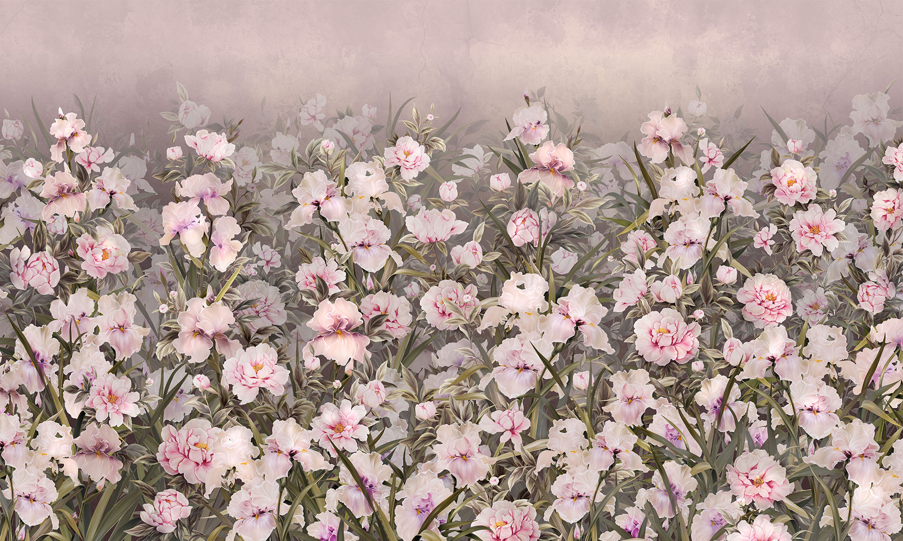 silk-iris-4