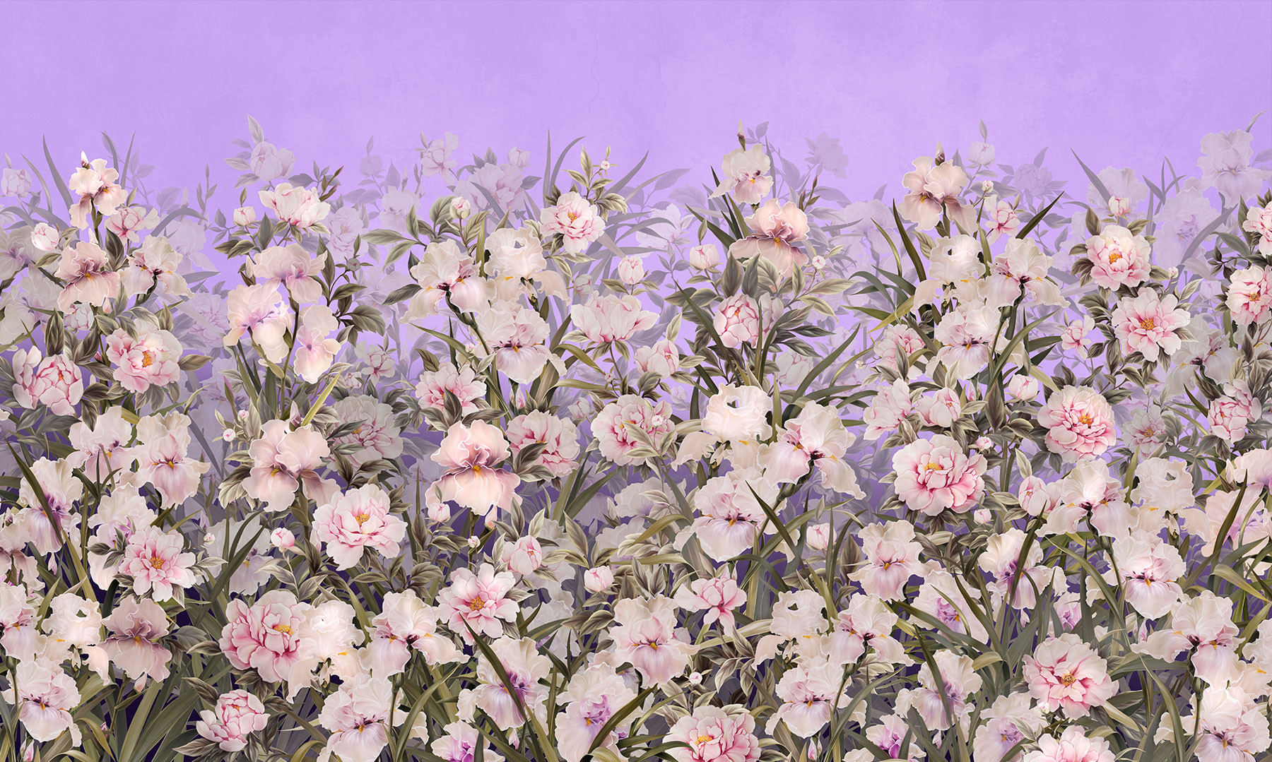 silk-iris-4