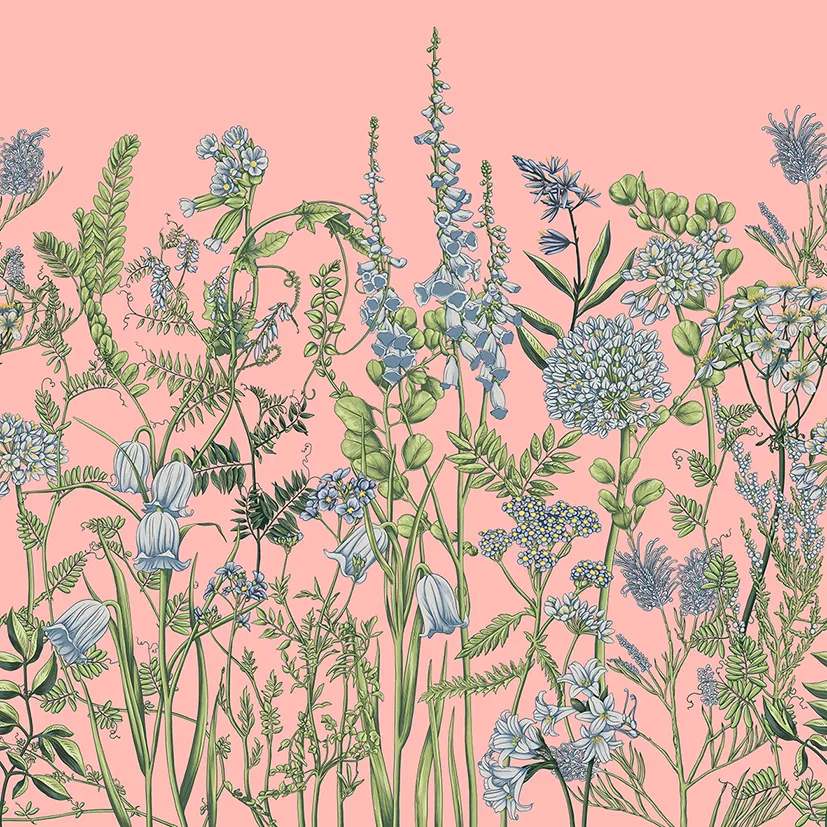 Wild Meadow – Wallpaper with Botanical Illustrations of Wildflowers | ART VISION DECOR