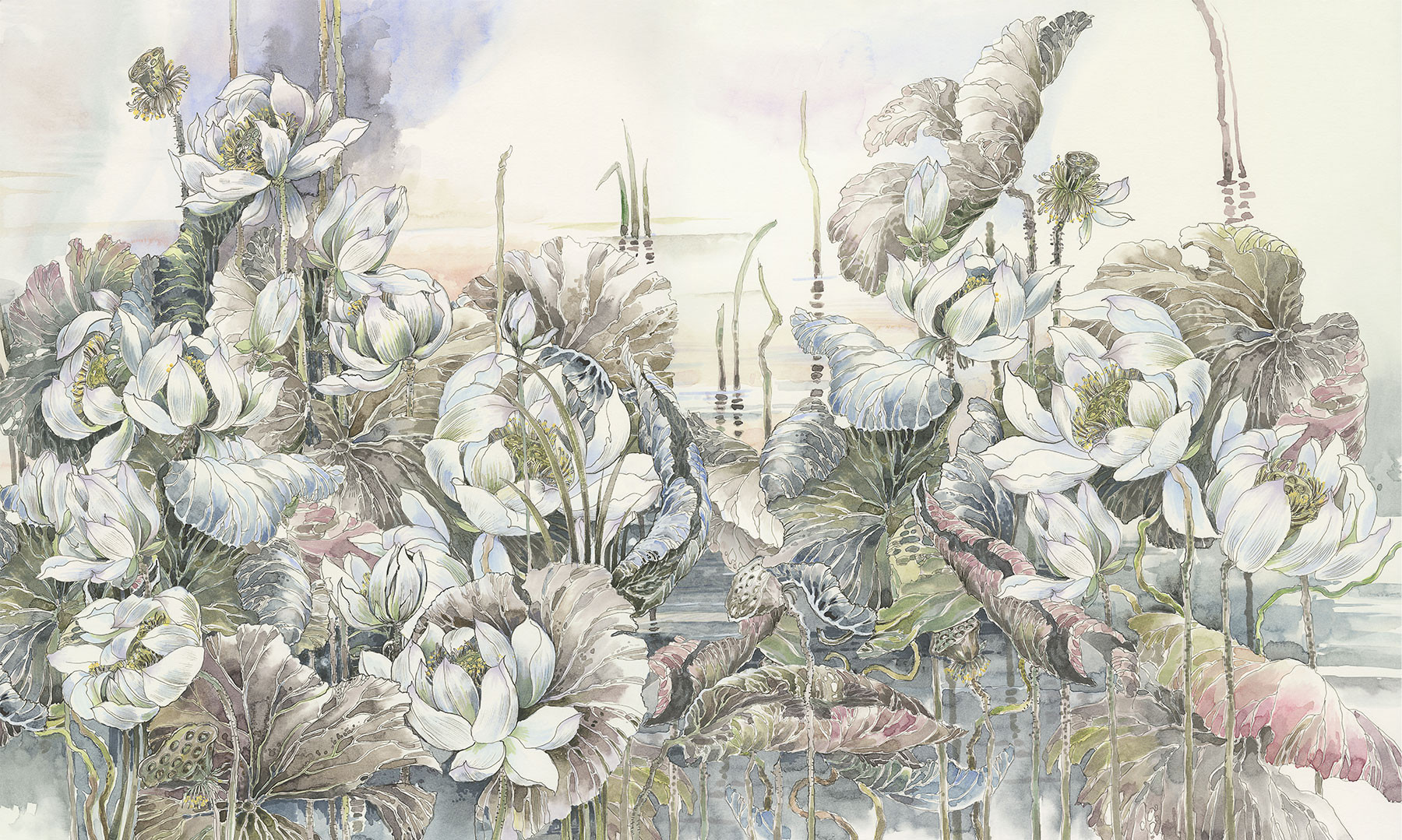 Lotuses at Dawn 2