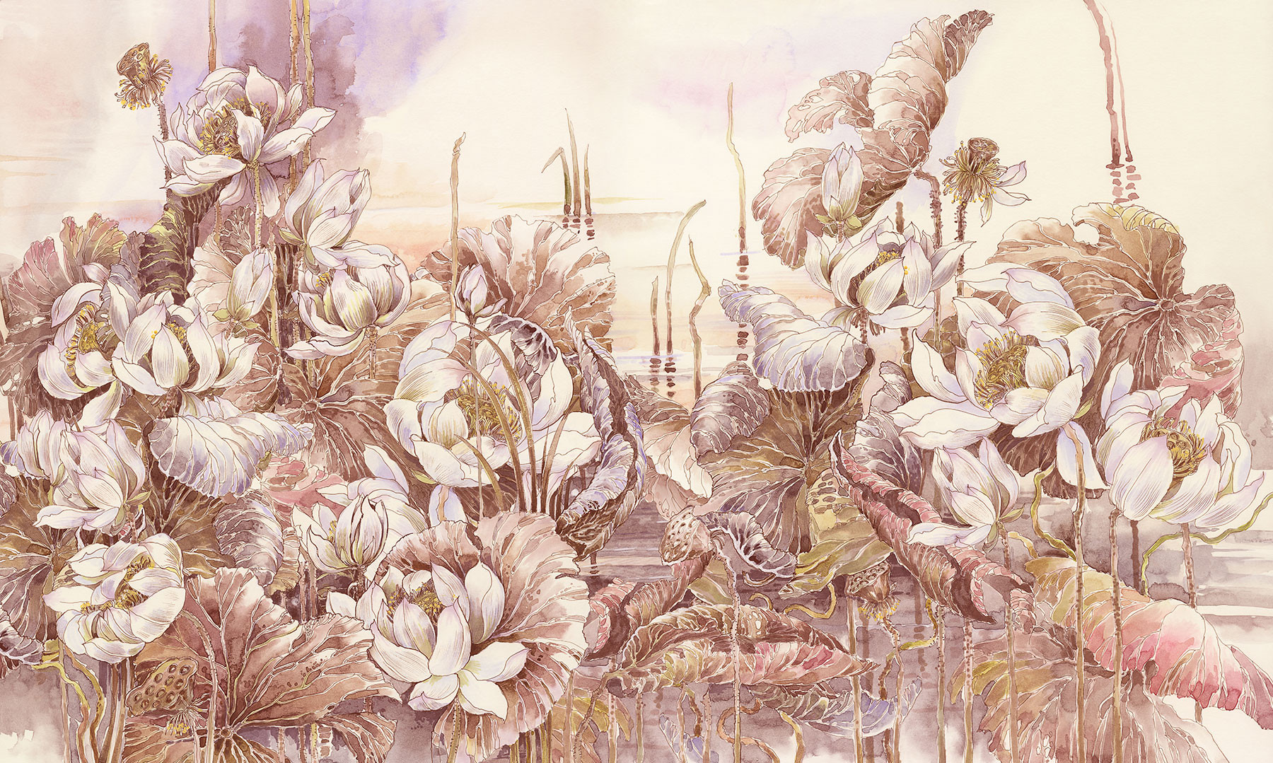 Lotuses at Dawn 2