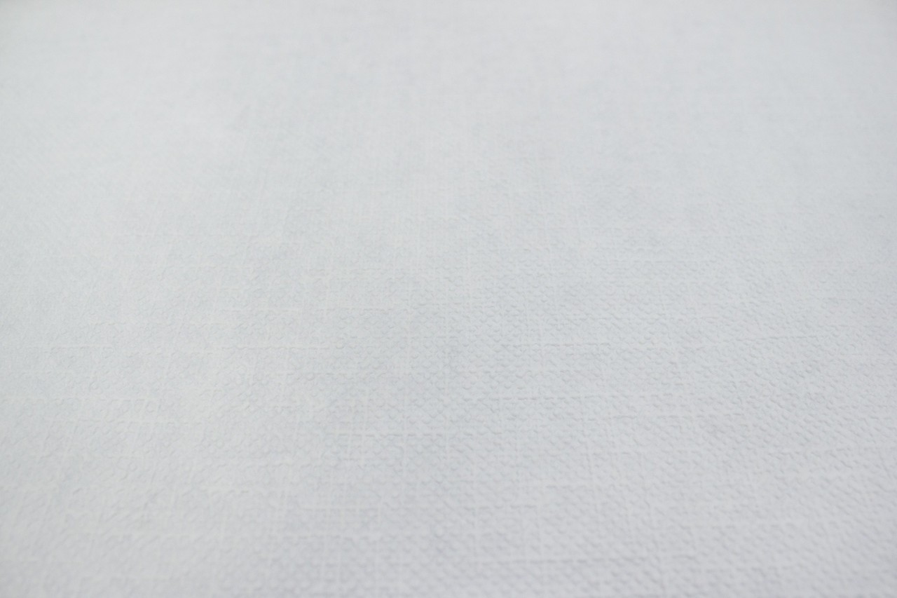 Vinyl Foam wallpaper on non-woven base Vinil Painted Wallpaper РЎ-122 White 25 x 1,06 m