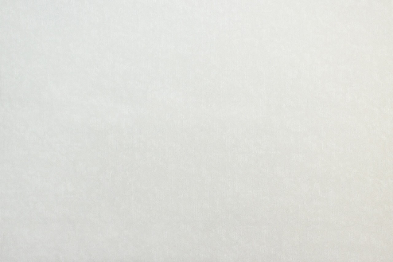 Vinyl Foam wallpaper on non-woven base Vinil Zan DHN-1425/1 White 10,05 x 1,06 m