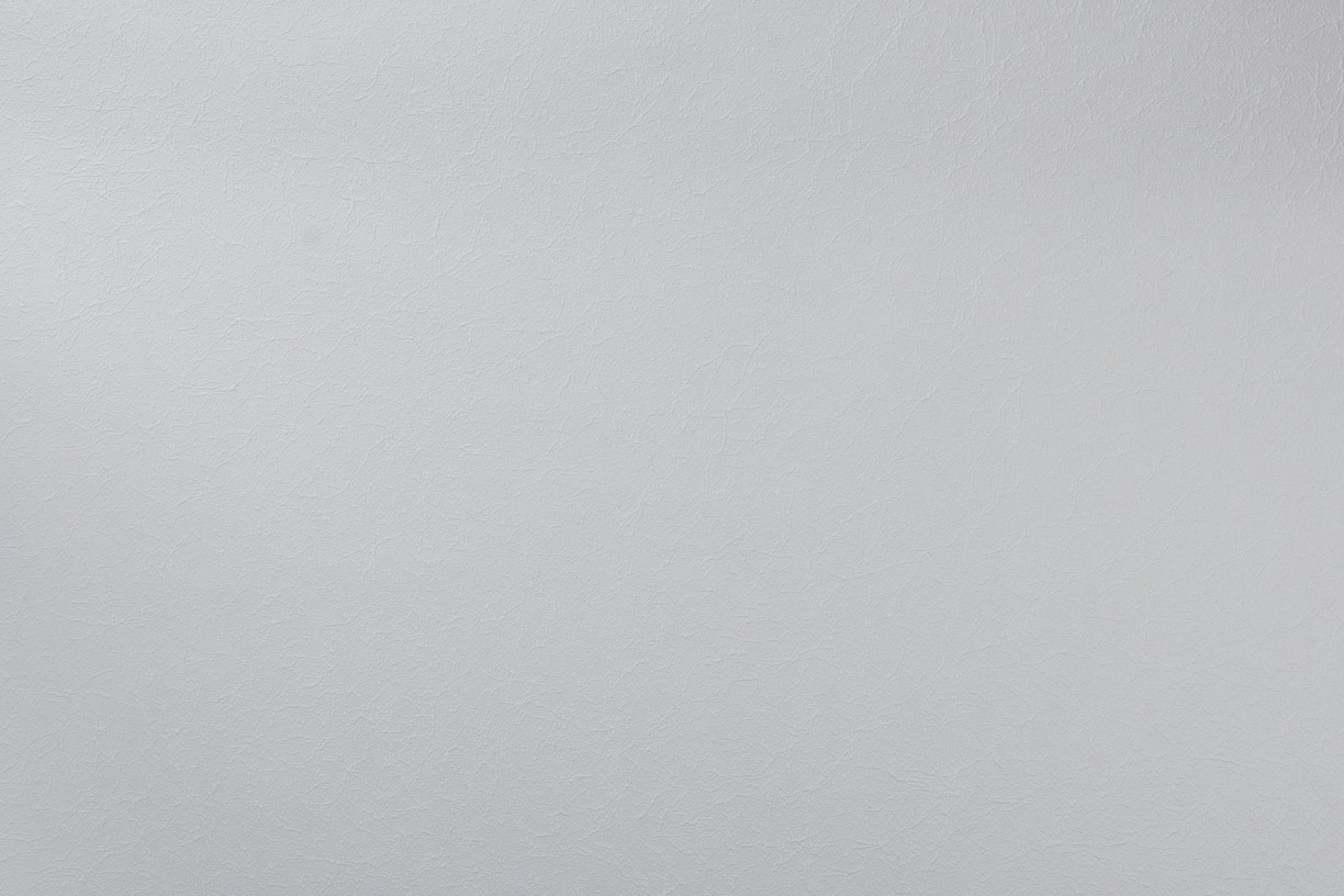 Vinyl Foam wallpaper on non-woven base Vinil Painted Wallpaper PRO 3 - Light2 Light-Gray 10,05 x 1,06 m