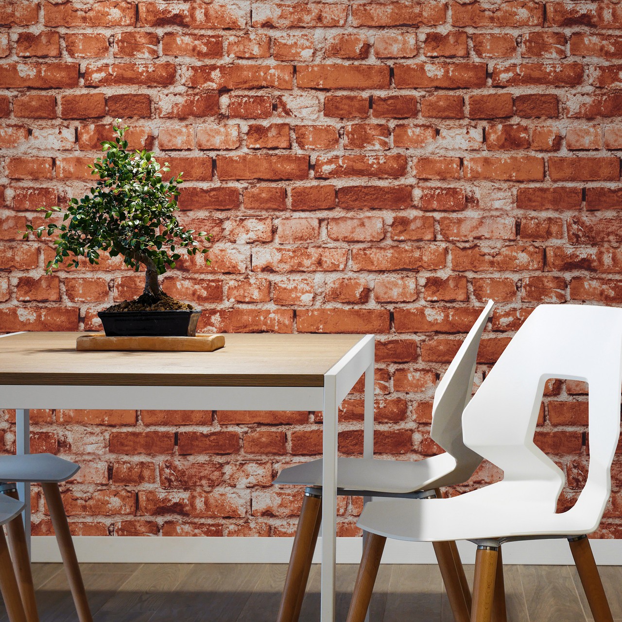 Hot Embossed wallpaper on Non-Woven Base Vinil Flat SHT 7-1538 Terraco 10,05 x 1,06 m