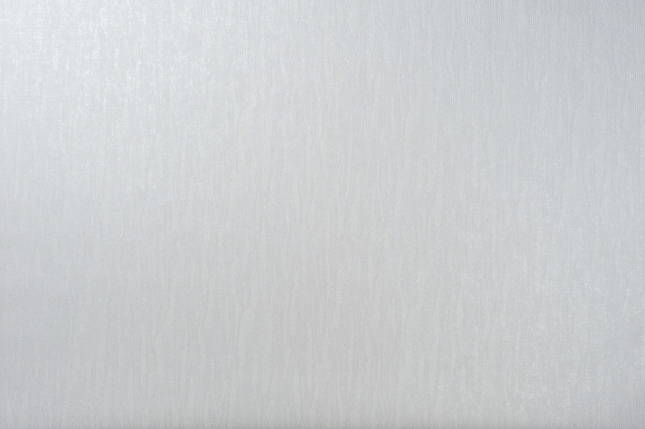 Vinyl Foam wallpaper on non-woven base Vinil Asteria DHN-1497/4 Gray 10,05 x 1,06 m