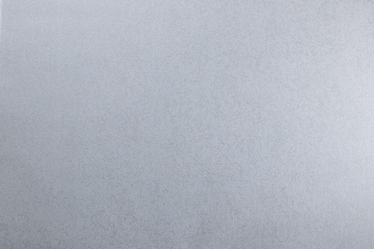 Vinyl Foam wallpaper on non-woven base Vinil ARABELLA DHV-1481/4 Gray 10,05 x 1,06 m