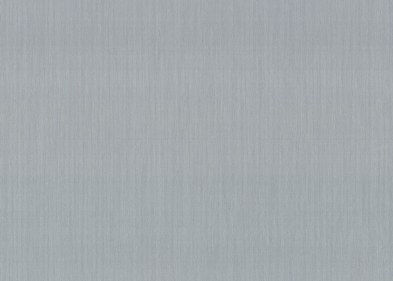 Hot Embossed wallpaper on Non-Woven Base Vinil Vensan VIP 6-1541 Gray 10,05 x 1,06 m