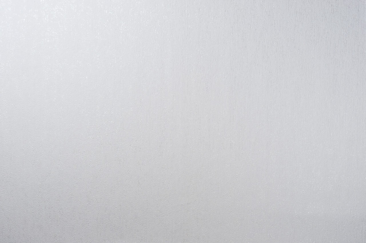 Vinyl Foam wallpaper on non-woven base Vinil Fiji DHN-1499/1 White 10,05 x 1,06 m