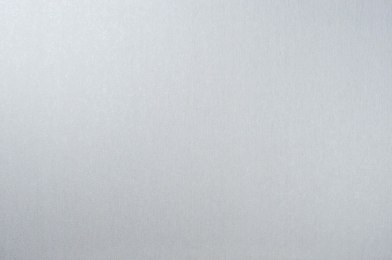 Vinyl Foam wallpaper on non-woven base Vinil Fiji DHN-1499/5 Light Gray 10,05 x 1,06 m