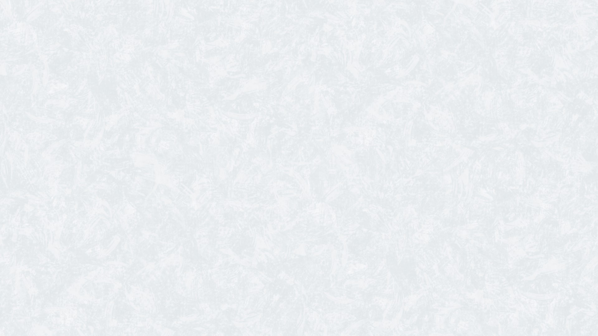 420713 (1,06)