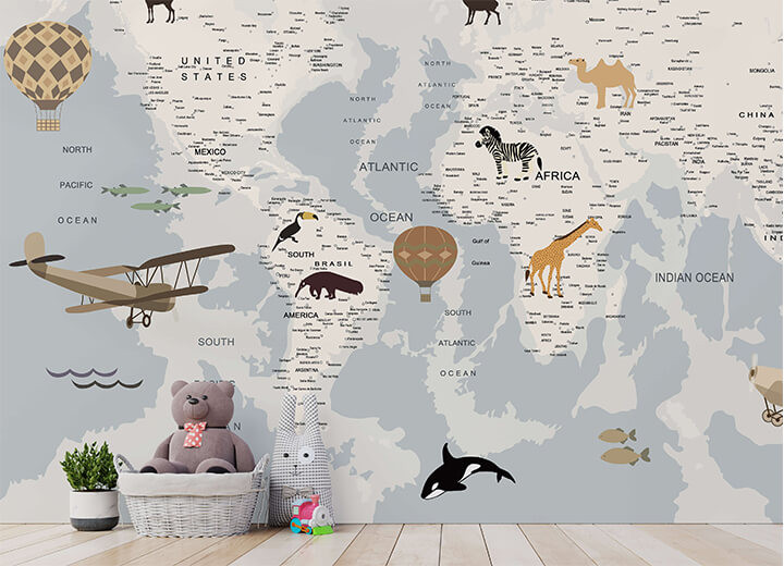 Aircraft map
